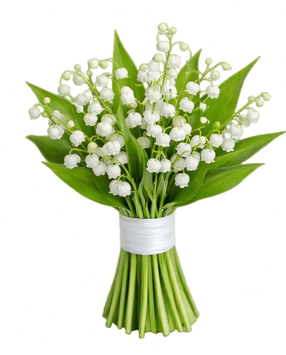 Elegant Lily of Valley Wedding Bouquet - Florist London