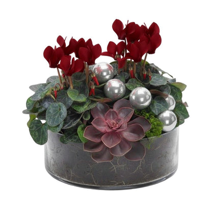 Festive Cyclamen Glass Pot - Florist London
