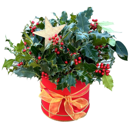 Festive Holly Flower Box