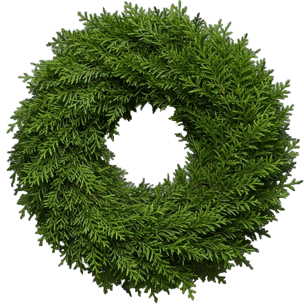 Fresh Conifer Door Wreath - Florist London