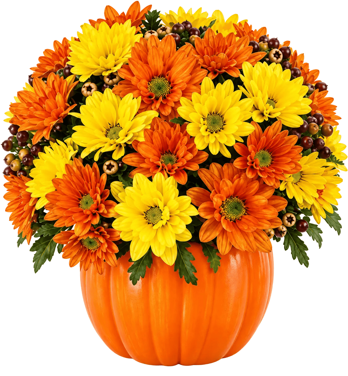 Funny Pumpkin of Chrysanthemum - Florist London