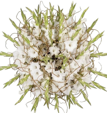 Gladiolus with Willow Twist Bouquet - Florist London