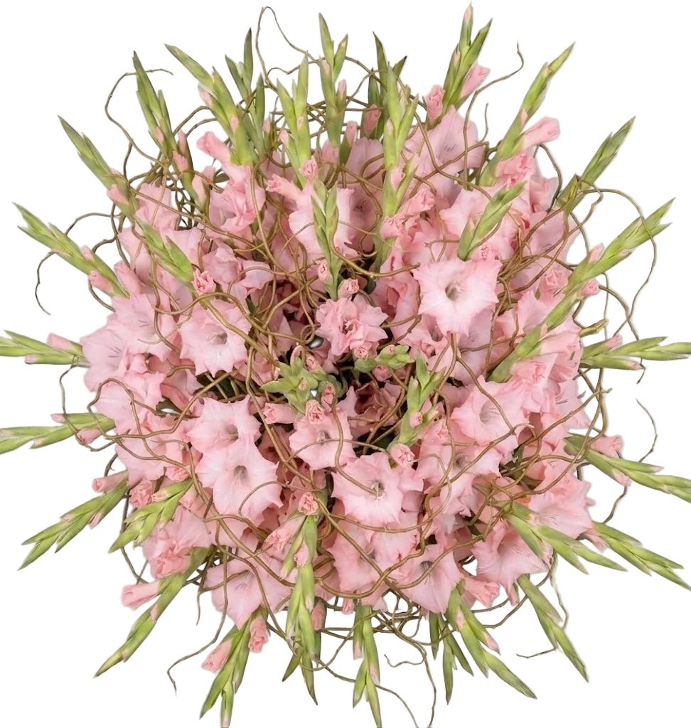 Gladiolus with Willow Twist Bouquet - Florist London