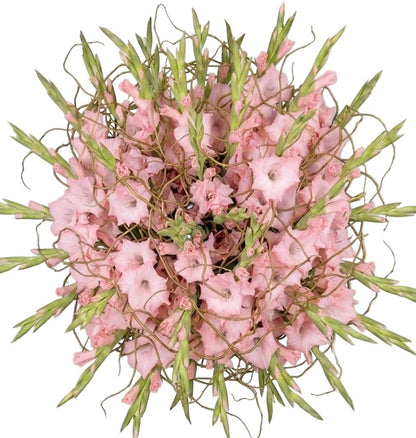 Gladiolus with Willow Twist Bouquet - Florist London