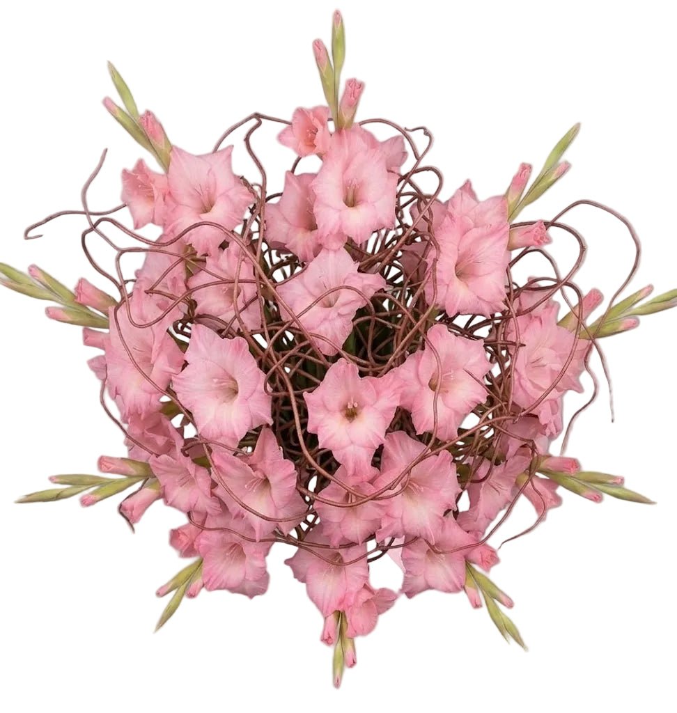 Gladiolus with Willow Twist Bouquet - Florist London