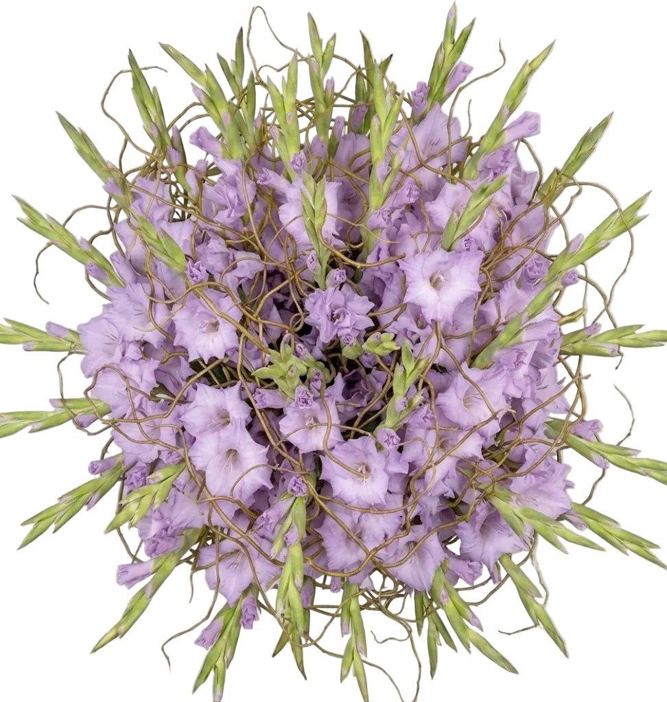 Gladiolus with Willow Twist Bouquet - Florist London