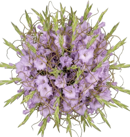 Gladiolus with Willow Twist Bouquet - Florist London