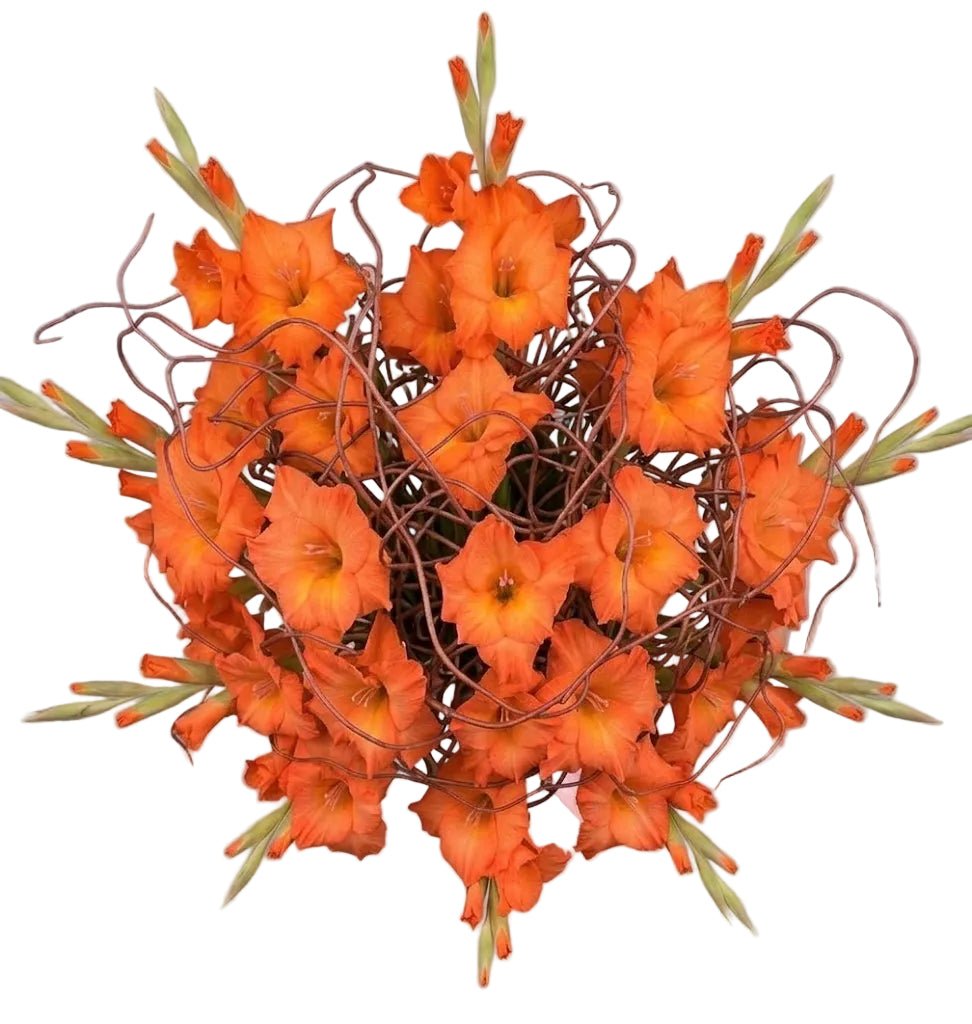 Gladiolus with Willow Twist Bouquet - Florist London