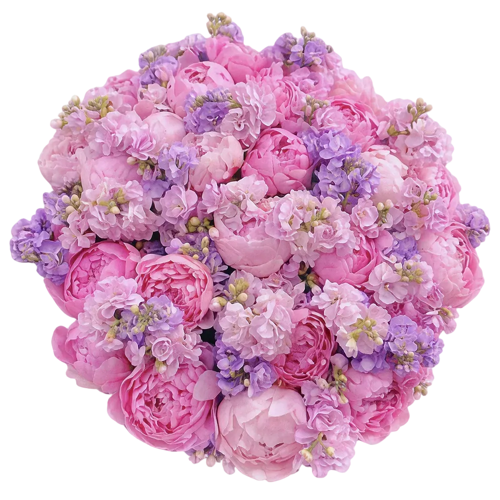 Gorgeous Fragrant Bouquet of Peonies with Stocks - Florist London
