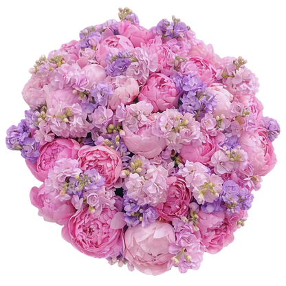 Gorgeous Fragrant Bouquet of Peonies with Stocks - Florist London