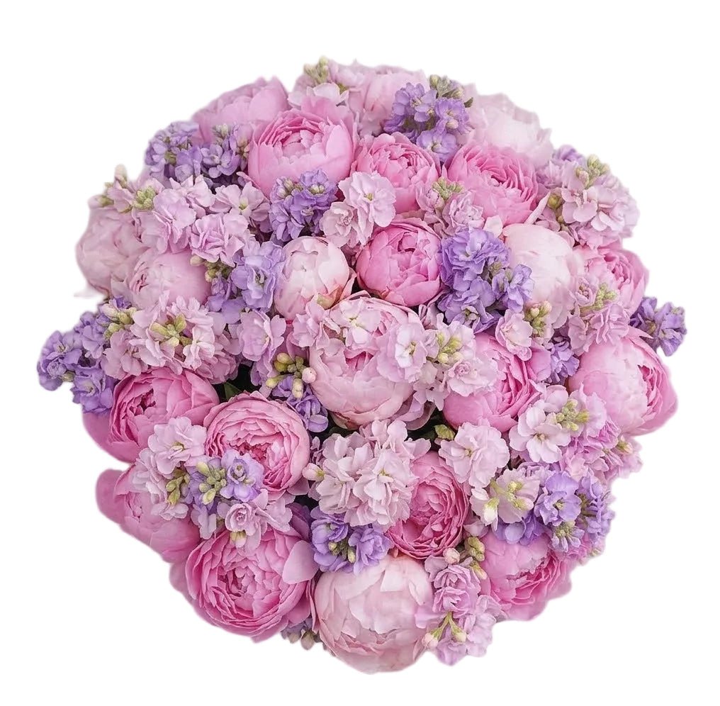 Gorgeous Fragrant Bouquet of Peonies with Stocks - Florist London
