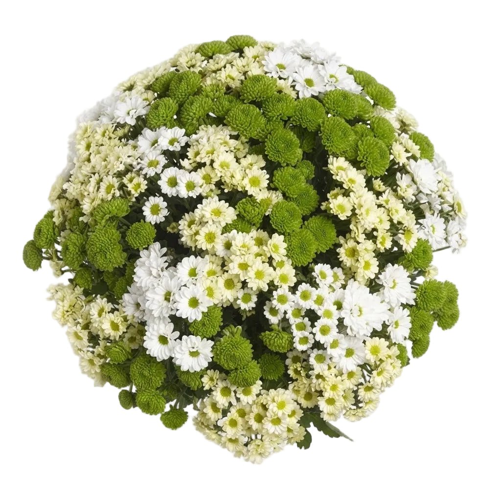 Green and White Shades Santini Bouquet - Florist London
