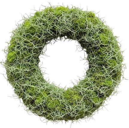 Green Moss and Tillandsia Door Wreath - Florist London