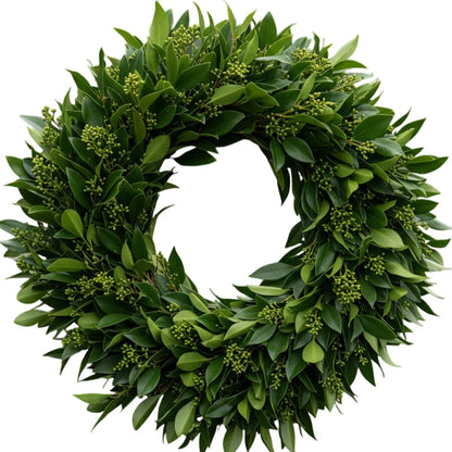 Green Skimmia Japonica Door Wreath - Florist London
