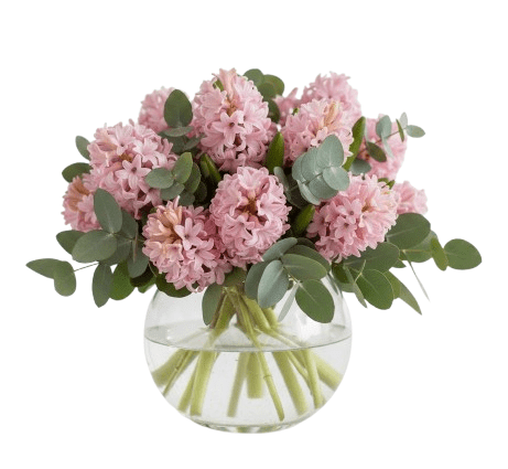 Hyacinth with Eucalyptus in Glass Bowl - Florist London
