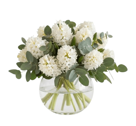 Hyacinth with Eucalyptus in Glass Bowl - Florist London