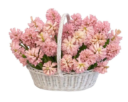 Hyacinths Flower Basket - Florist London