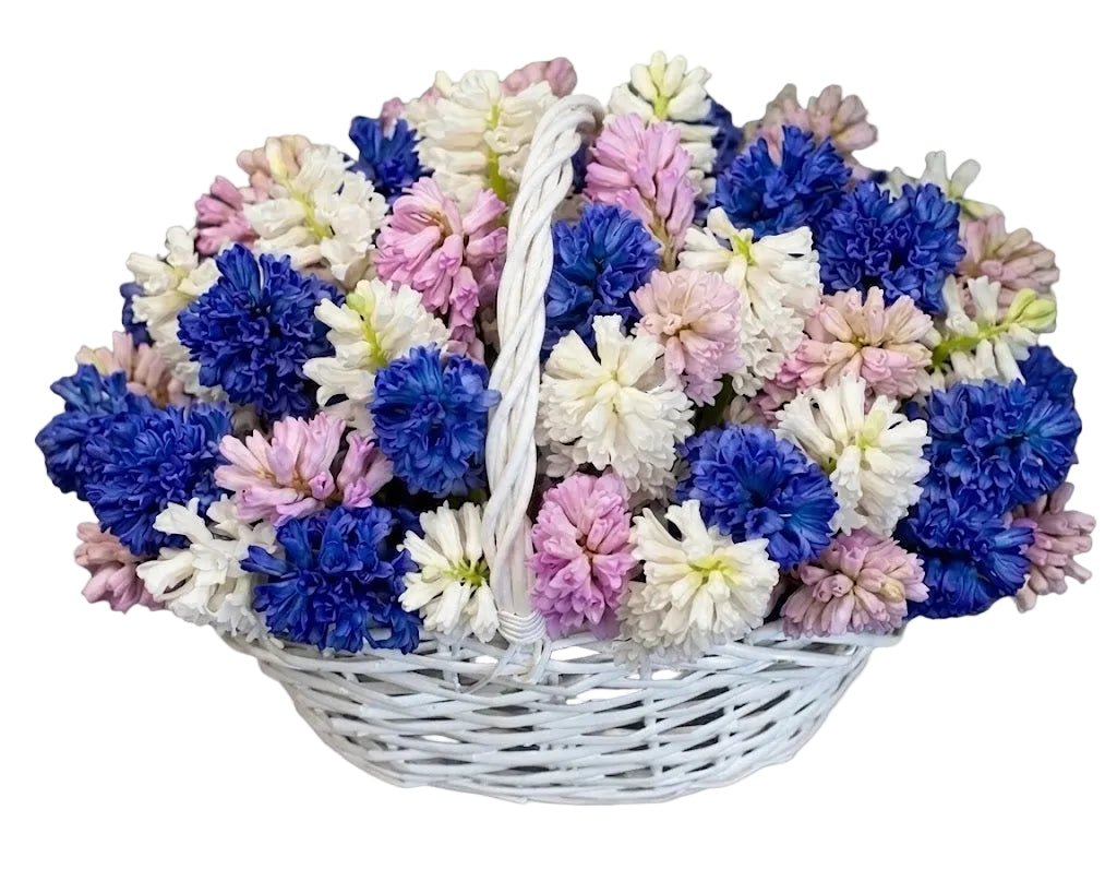 Hyacinths Flower Basket - Florist London