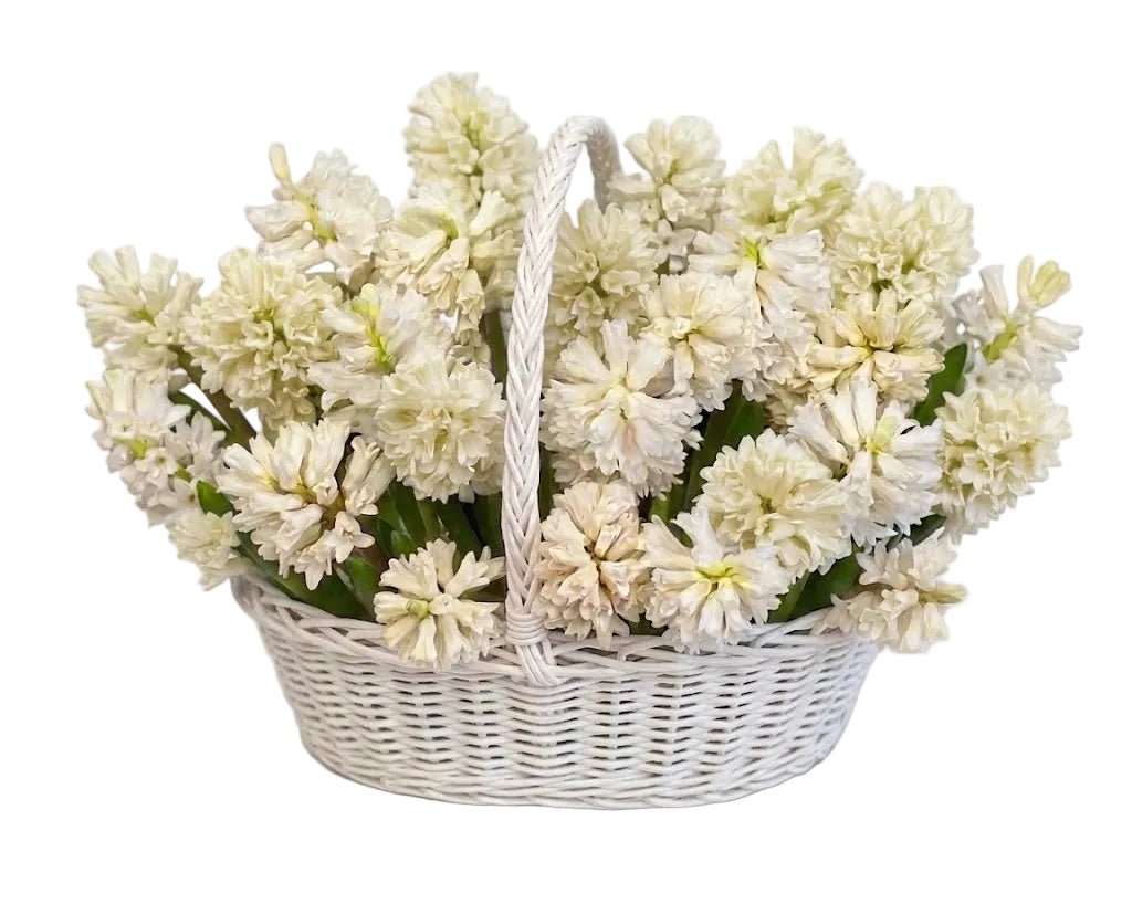 Hyacinths Flower Basket - Florist London