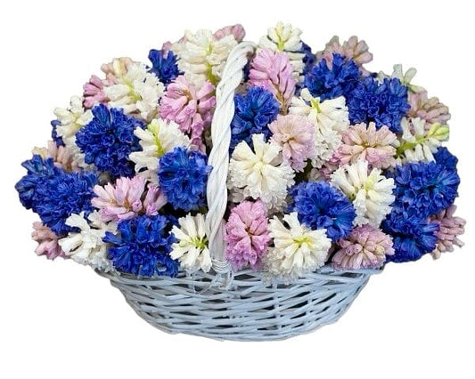 Hyacinths Flower Basket