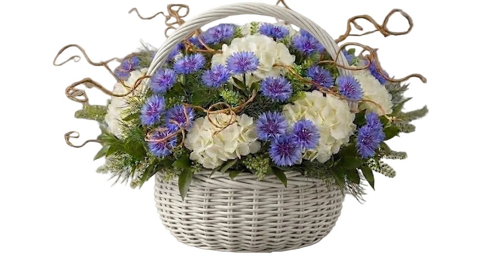 Hydrangea with Cornflowers and Willow Twist Basket - Florist London