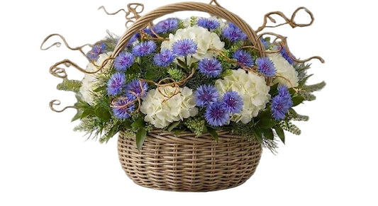 Hydrangea with Cornflowers and Willow Twist Basket - Florist London