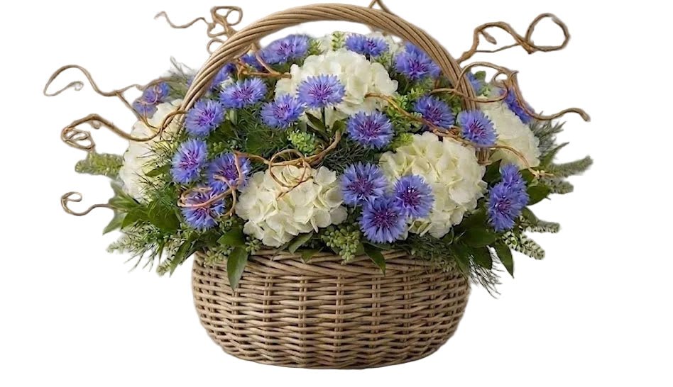 Hydrangea with Cornflowers and Willow Twist Basket - Florist London