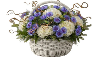 Hydrangea with Cornflowers and Willow Twist Basket - Florist London