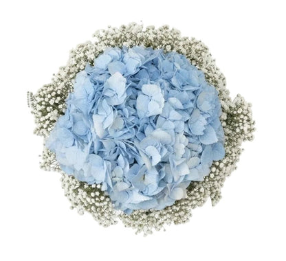 Hydrangea with Gypsophila Bouquet - Florist London