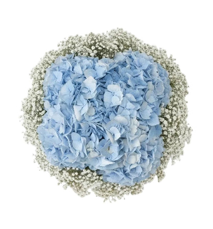 Hydrangea with Gypsophila Bouquet - Florist London