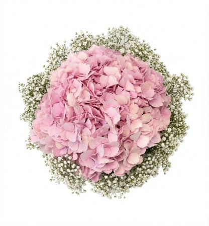 Hydrangea with Gypsophila Bouquet - Florist London