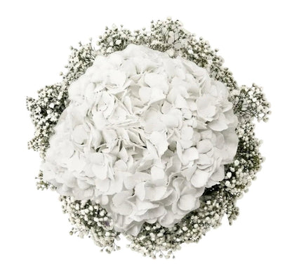 Hydrangea with Gypsophila Bouquet - Florist London