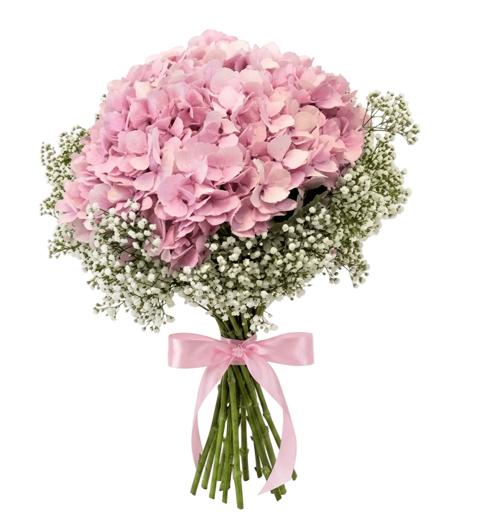 Hydrangea with Gypsophila Bouquet - Florist London