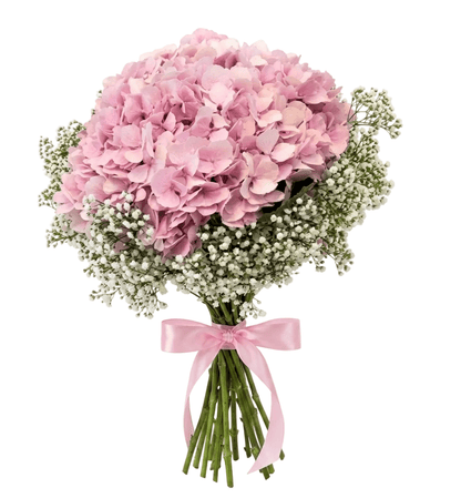 Hydrangea with Gypsophila Bouquet - Florist London