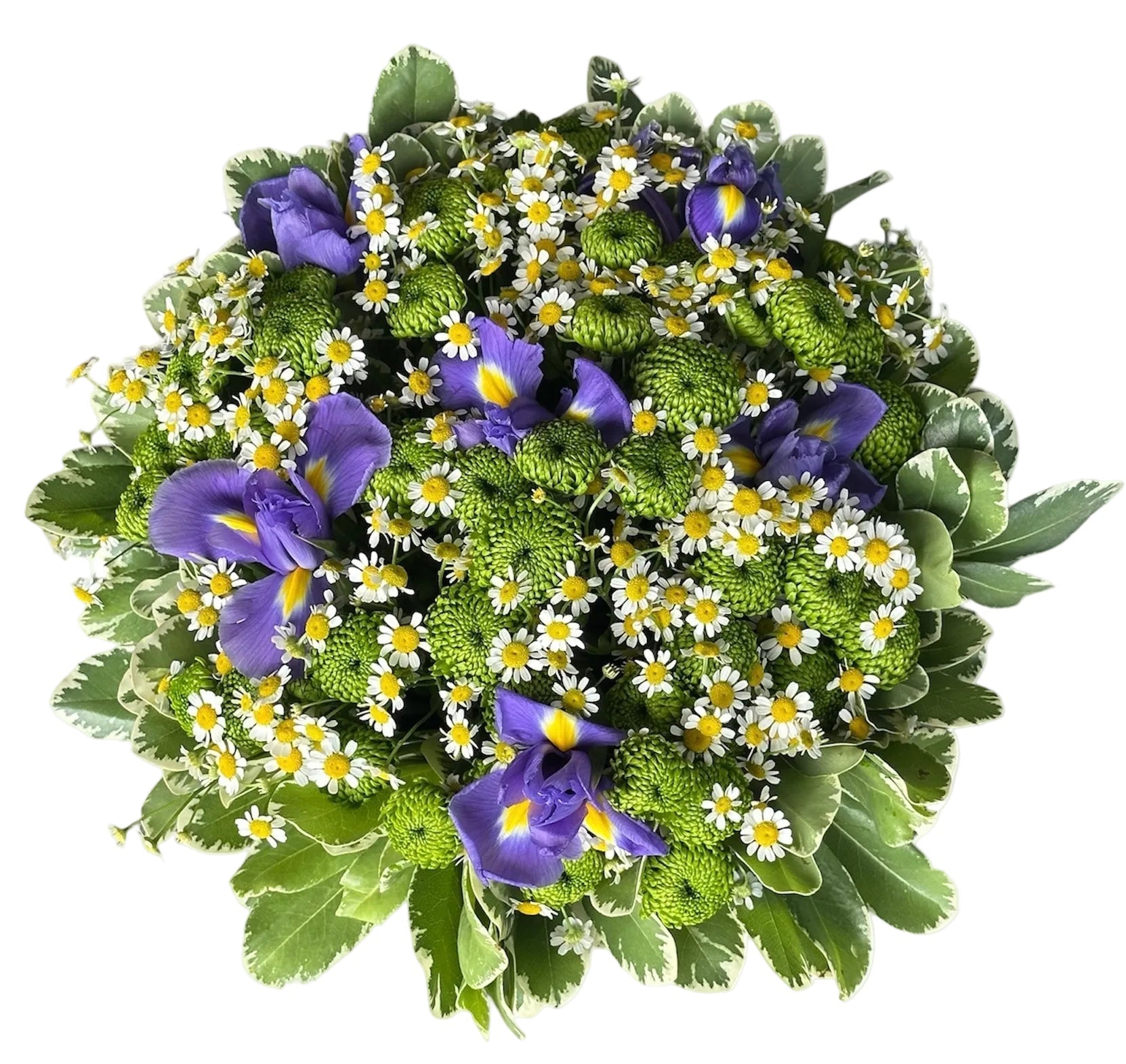 Iris in Green Pretty Bouquet - Florist London