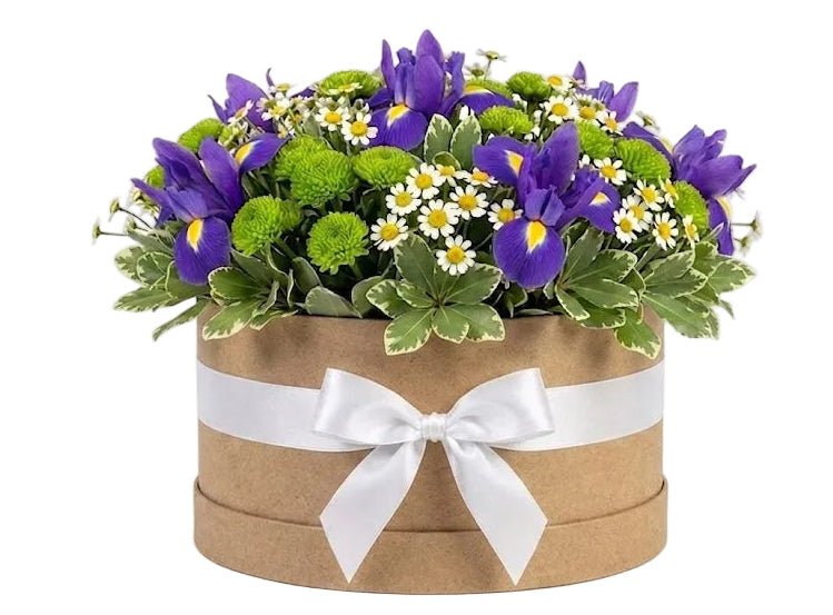 Iris with Santini Chrysanthemum and Daisy Box - Florist London