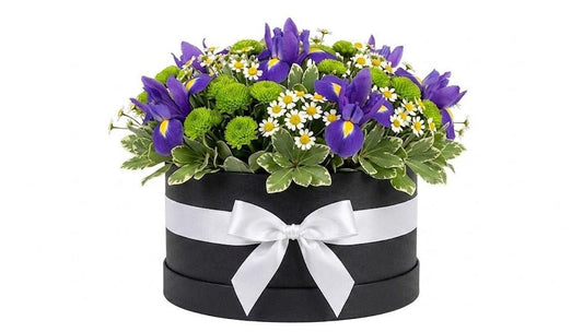 Iris with Santini Chrysanthemum and Daisy Box - Florist London