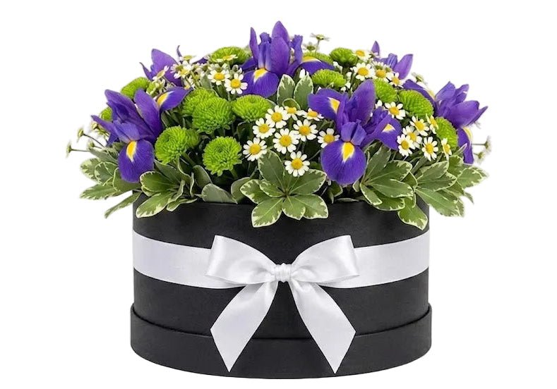 Iris with Santini Chrysanthemum and Daisy Box - Florist London