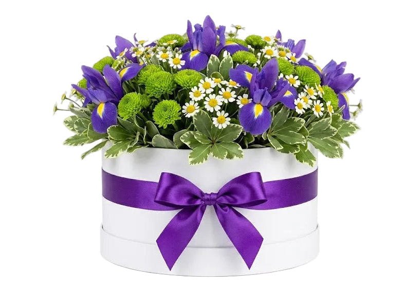 Iris with Santini Chrysanthemum and Daisy Box - Florist London
