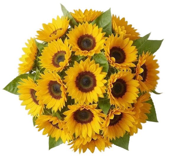 Just Sunflowers Bouquet - Florist London