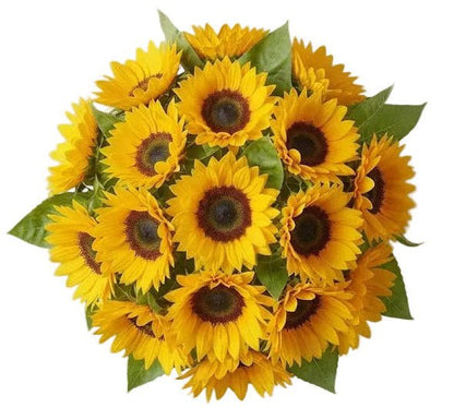 Just Sunflowers Bouquet - Florist London