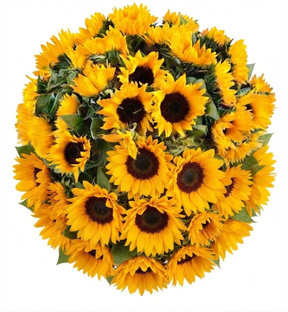 Just Sunflowers Bouquet - Florist London