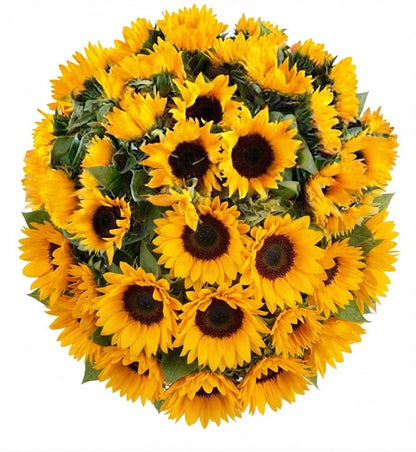 Just Sunflowers Bouquet - Florist London