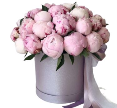 Light Pink Peonies Box - Florist London