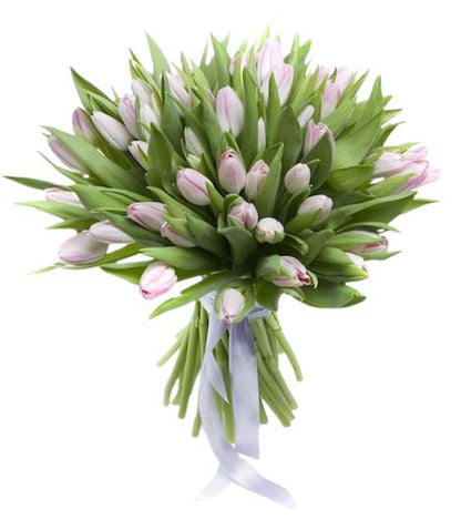Light Pink Tulips Bouquet
