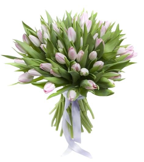 Light Pink Tulips Bouquet - Florist London