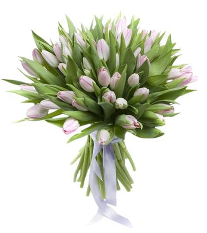 Light Pink Tulips Bouquet - Florist London
