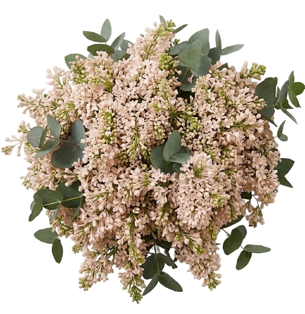 Lilac Bouquet with Eucalyptus - Florist London