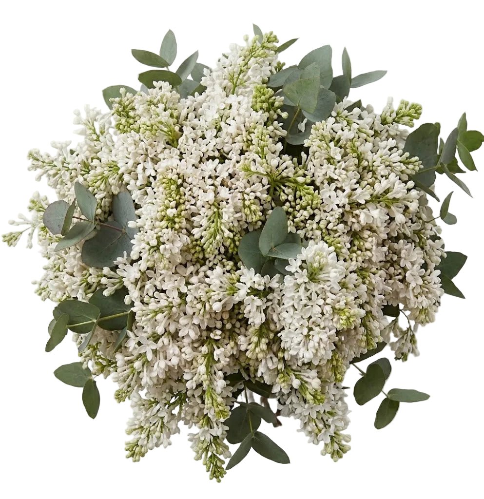 Lilac Bouquet with Eucalyptus - Florist London