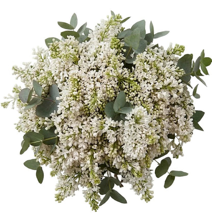 Lilac Bouquet with Eucalyptus - Florist London